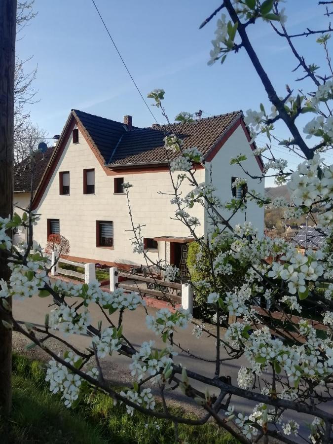 Fewo Maedi Windeck Zewnętrze zdjęcie