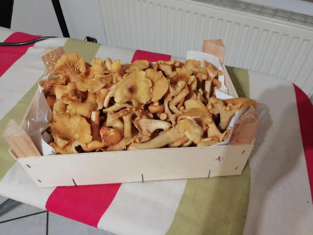 Fewo Maedi Windeck Zewnętrze zdjęcie